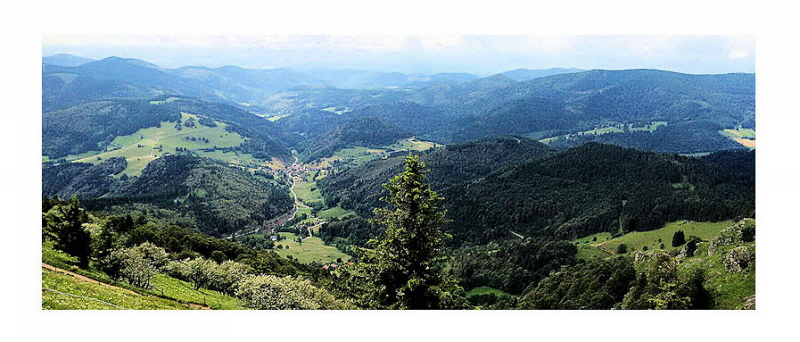 Belchenblick zu den Schweizer Alpen